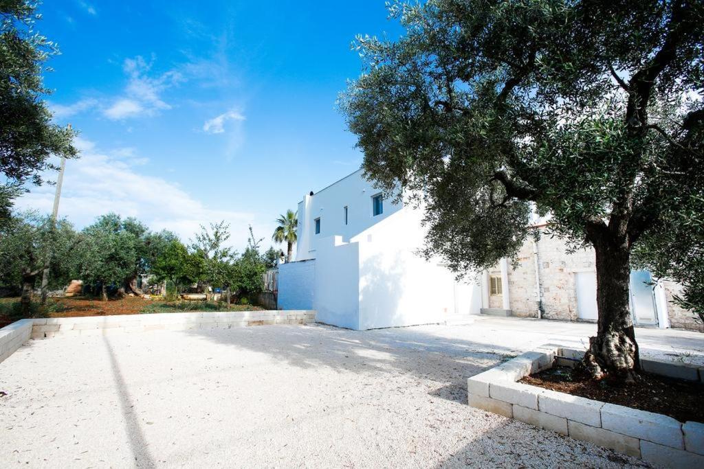 Bed and Breakfast Casa 801 Monopoli Exterior foto